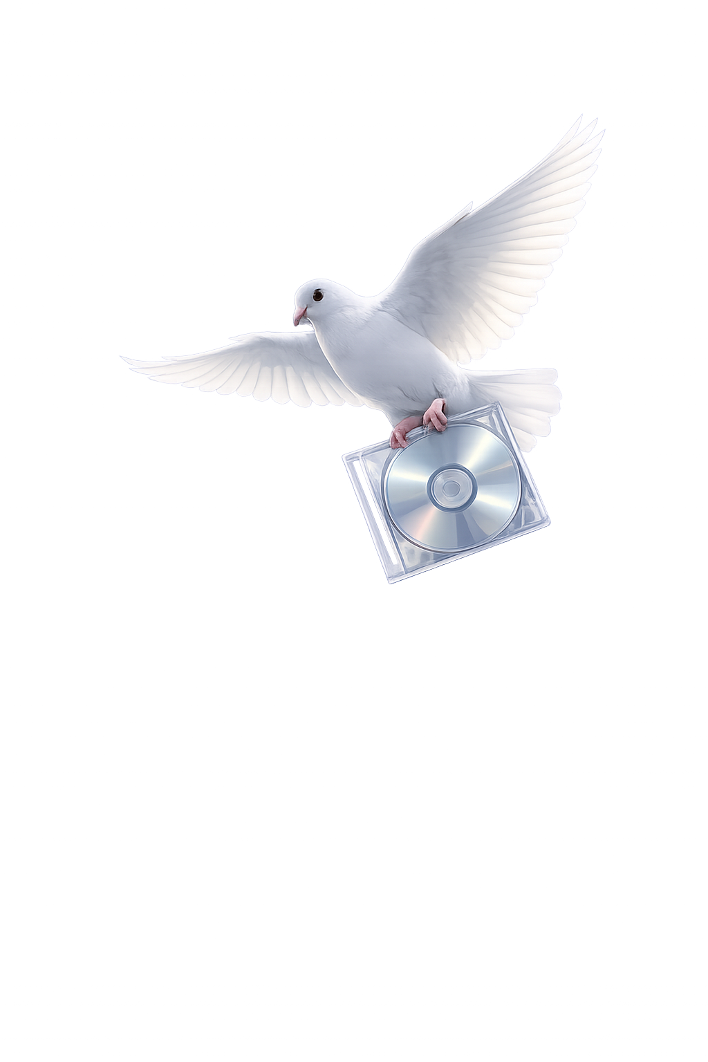 鳩